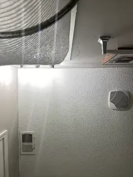 BananaDickon2 – webcam model profile photo Image 5