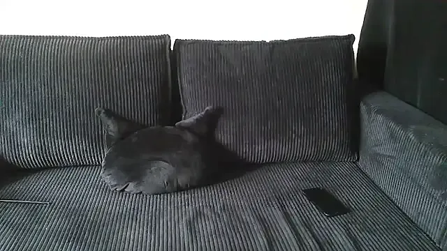 dirtypub – webcam model profile photo Image 8