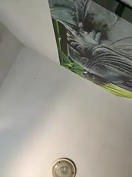 FroggyAnna – webcam model profile photo Image 4