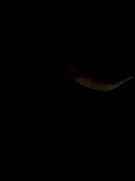 CleoLangley – webcam model profile photo Image 5