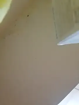 Yui-Ch – webcam model profile photo Image 7