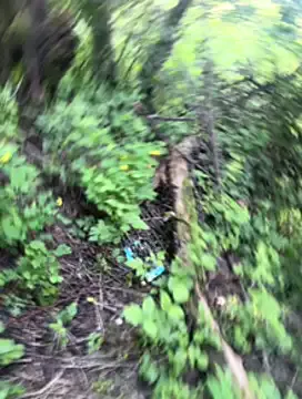 niko-jpn – webcam model profile photo Image 8