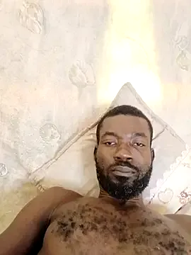 Bulletact – webcam model profile photo