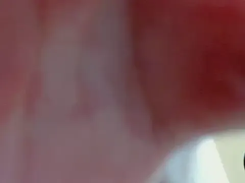 CatalinaXW Image 2