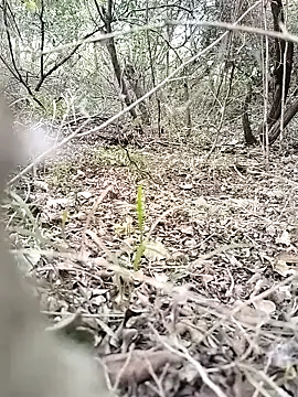 ManaMi-maru – webcam model profile photo Image 10