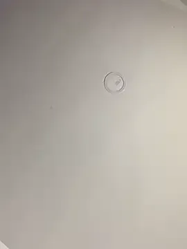 Lena_Blom – webcam model profile photo Image 14