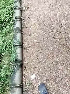 _chanMOMO_ – webcam model profile photo Image 12