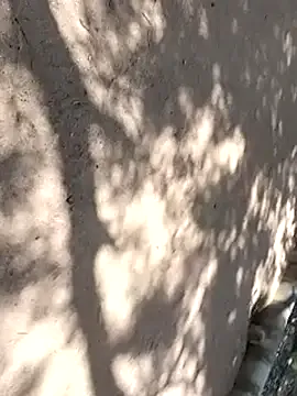 _chanMOMO_ – webcam model profile photo Image 18