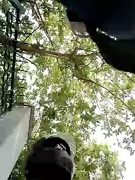 _chanMOMO_ – webcam model profile photo Image 4