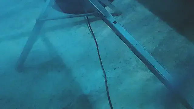 Nonchan_ – webcam model profile photo Image 3