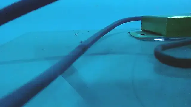 Nonchan_ – webcam model profile photo Image 4