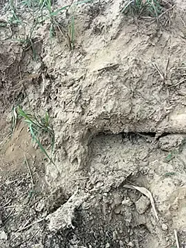 Hot_Mayra25 – webcam model profile photo Image 3