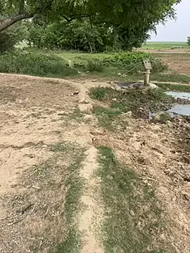 Hot_Mayra25 – webcam model profile photo Image 4