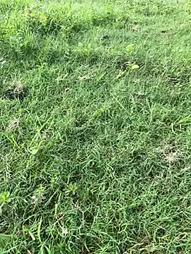 Hot_Mayra25 – webcam model profile photo Image 6