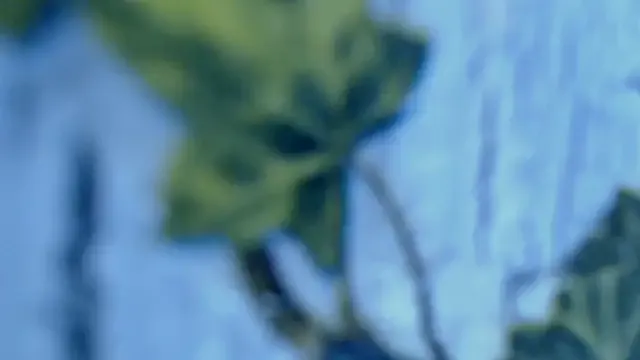 Diablica41 Image 18