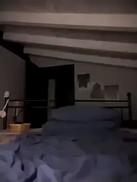 LT-333 – webcam model profile photo Image 12