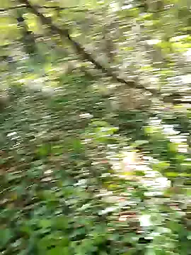 Mia--meow – webcam model profile photo Image 16