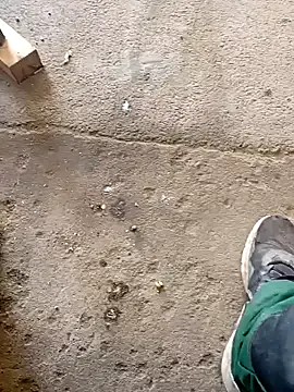 seraphine23 – webcam model profile photo Image 8