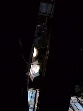 roouse – webcam model profile photo Image 18