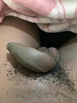 zui_lu – webcam model profile photo Image 15