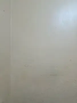 AnishaBee – webcam model profile photo Image 12