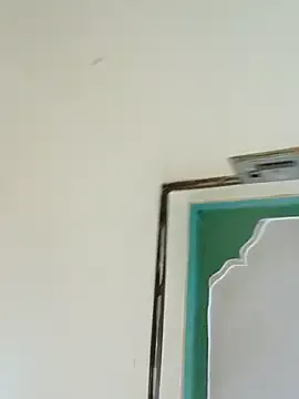 AnishaBee – webcam model profile photo Image 7