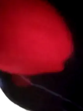 Humsafar-HDX-13 – webcam model profile photo Image 18