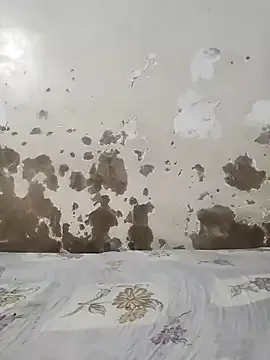 Rodrigues_Lucas – webcam model profile photo Image 16