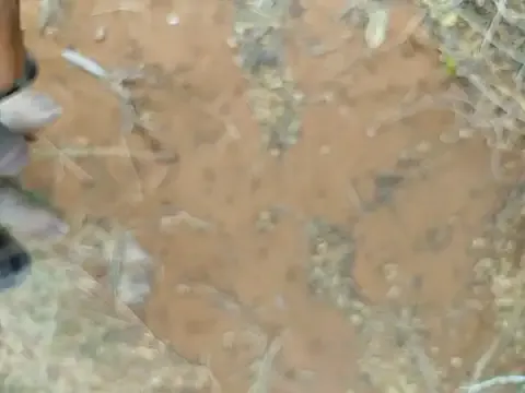 Rodrigues_Lucas – webcam model profile photo Image 7