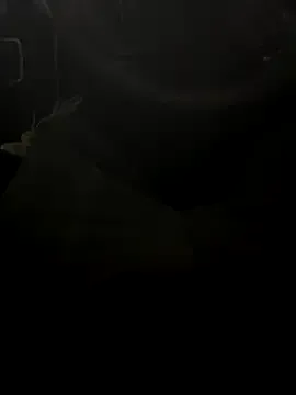 I_SHO0106 – webcam model profile photo