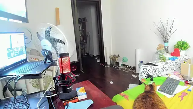 PaulinaMalkova – webcam model profile photo Image 18