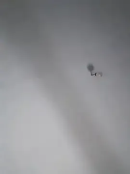 NANA_7 – webcam model profile photo Image 6