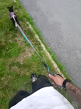 FroggyAnna – webcam model profile photo Image 8