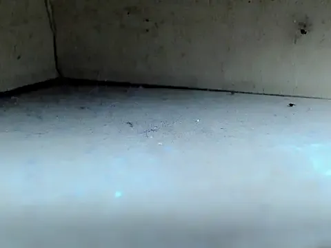 Evamendez02 – webcam model profile photo Image 2