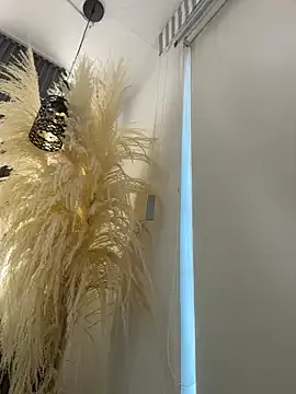 _Alicee_1 cam model Image 6