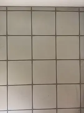 Carine – webcam model profile photo Image 16