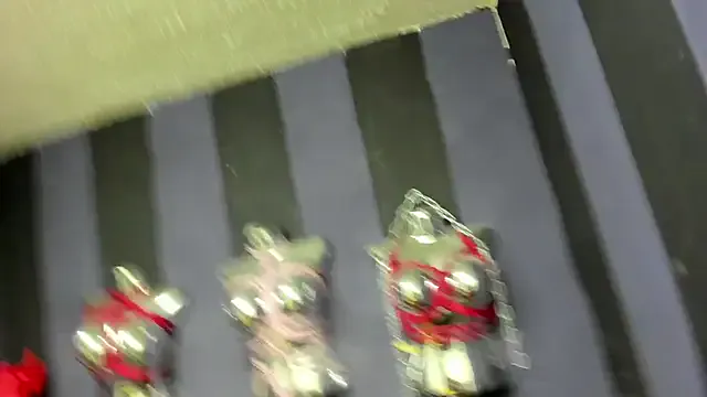 Dasha cam model Image 2