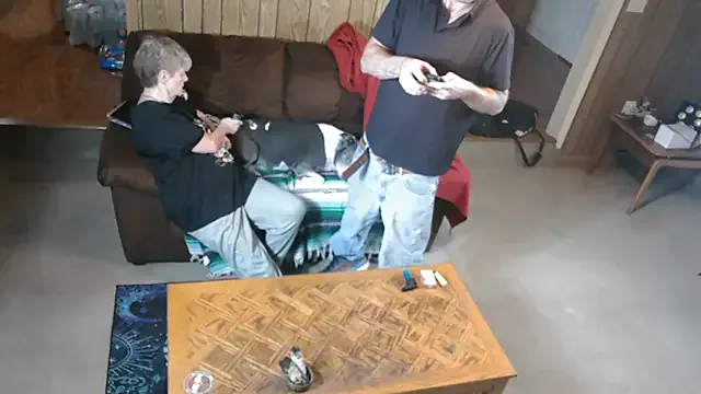 Humsafar-HDX-13 – webcam model profile photo Image 14