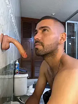 AYW-21 cam model Image 12