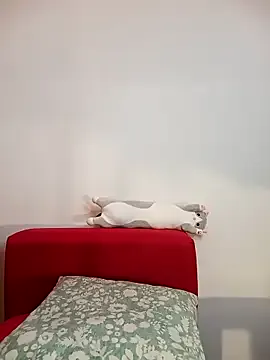 _Alicee_1 – webcam model profile photo Image 16