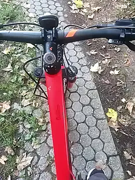 PumaShyXD – webcam model profile photo Image 11