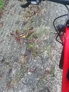 PumaShyXD – webcam model profile photo Image 17