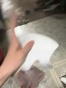 Kelly_Berry__ – webcam model profile photo Image 2