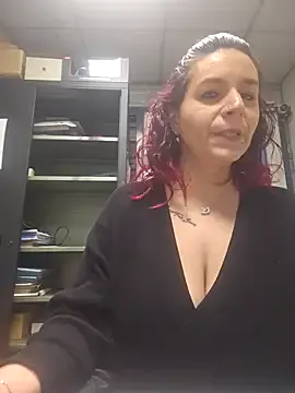 Lea-Kirsch cam model Image 5