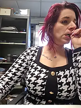 Lea-Kirsch cam model Image 8