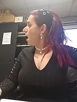 Lea-Kirsch cam model Image 9