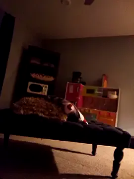 roouse – webcam model profile photo Image 6