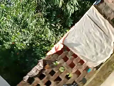 nathi_poyo – webcam model profile photo Image 8