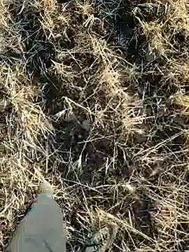 murokkk31 Image 9
