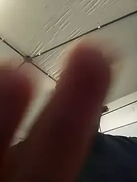 MysterBearMG Image 8